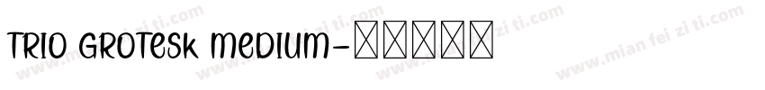 Trio Grotesk Medium字体转换